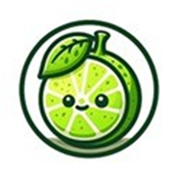 Lime3DS模拟器汉化版app手机版