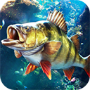 欢乐钓鱼大师游戏下载